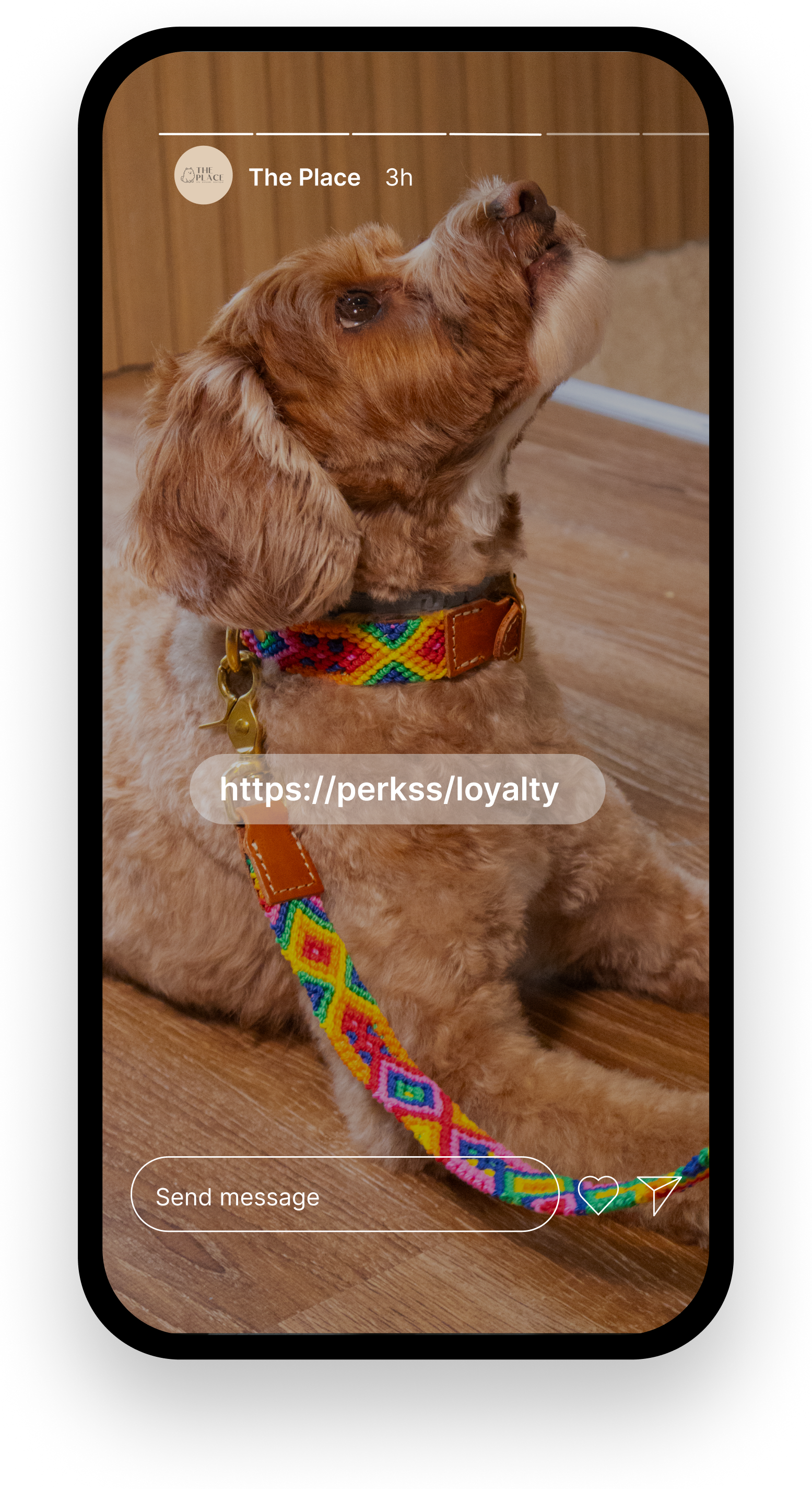 Imagen del carrusel 4